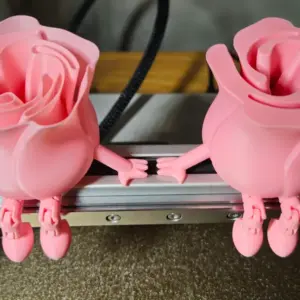Rose som sidder på kant
