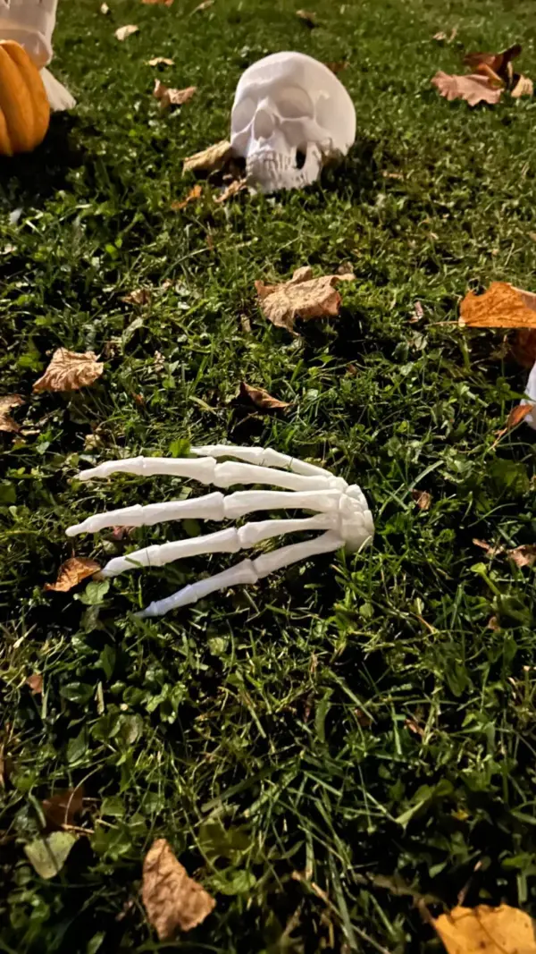Halloween - skelet hånd - Billede 2