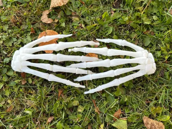 Halloween - skelet hånd - Billede 3