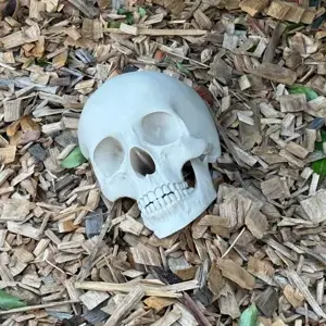 Halloween - Skelet hoved